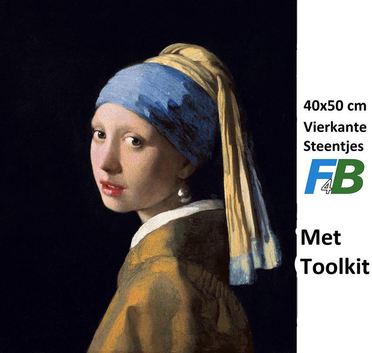 F4B Meisje met de parel | Johannes Vermeer | Schilderij | Diamond painting pakket- 40X50CM | VOLLEDIG dekkend | Diamant Schilderen |  Volwassenen | VIERKANT